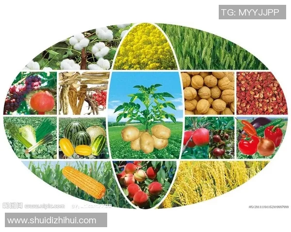 五谷丰登：探索五种传统农作物对农业生态与经济的深远影响