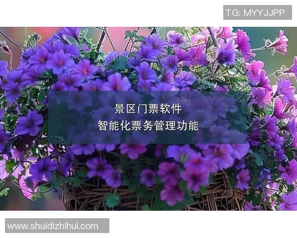 智能票务系统助力提升用户体验与售票效率的创新探索