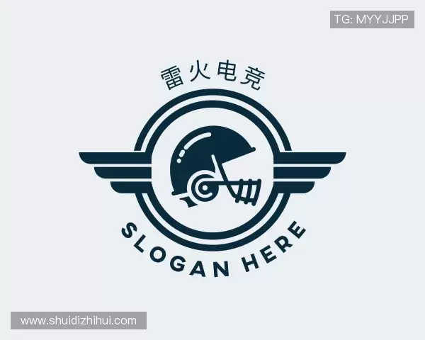 了解雷火电竞官网